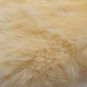 morepic-3