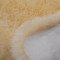 morepic-4